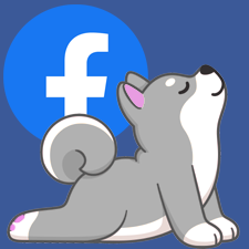 Pet Pause Grooming Boutique on Mount Holly-Huntersville Rd  Between Mount Holly & Mountain Island Lake