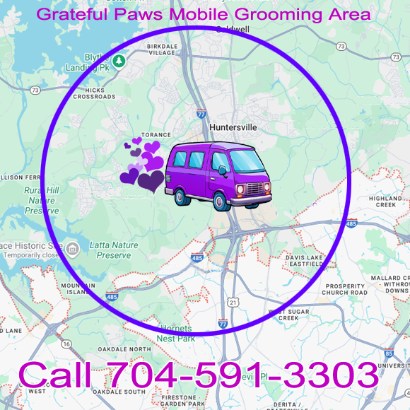 Mobile Dog Grooming in the Huntersville Mountain Island NC Area