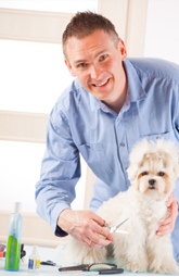 Dog Grooming in Charlotte NC