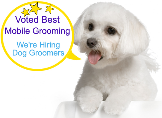 Dog Grooming positions are available at Grateful Pets, Charlotte NC. We're hiring pet groomers.