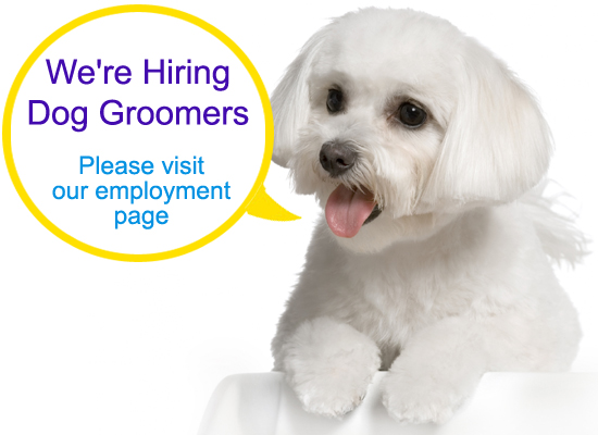 Dog Grooming positions are available at Grateful Pets, Charlotte NC. We're hiring pet groomers.